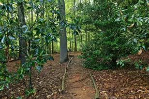 1004 Woodlot Ridge Rd, Chapel Hill, NC 27516 - Photo 46