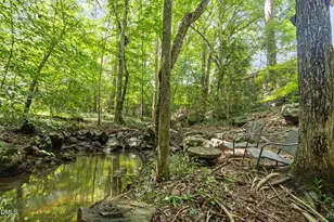 122 Taylor St, Chapel Hill, NC 27514 - Photo 46