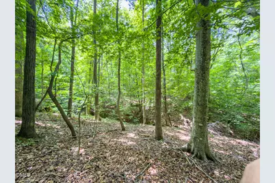 0 Park Springs Road, Providence, NC 27326 - Photo 12