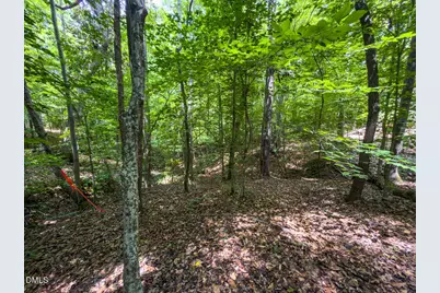 0 Park Springs Road, Providence, NC 27326 - Photo 26