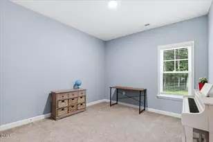 111 Oakbridge Wy, Princeton, NC 27569 - Photo 26