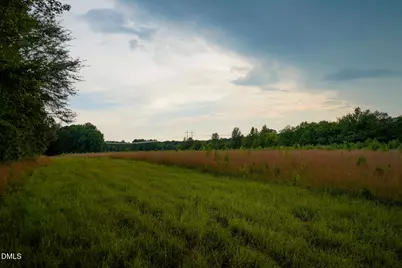 19.2 Acres Bunnlevel Erwin Road, Erwin, NC 28339 - Photo 30
