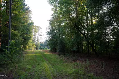 19.2 Acres Bunnlevel Erwin Road, Erwin, NC 28339 - Photo 10