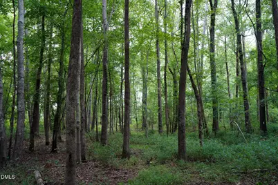 19.2 Acres Bunnlevel Erwin Road, Erwin, NC 28339 - Photo 18