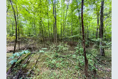 0 Park Springs Road, Providence, NC 27326 - Photo 30
