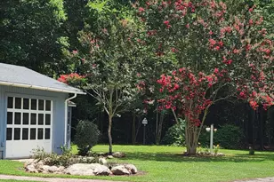 121 Old Moore Rd, Selma, NC 27576 - Photo 20