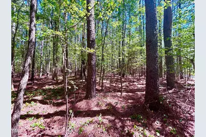 0 Pool Rock Plantation Lane, Henderson, NC 27537 - Photo 8