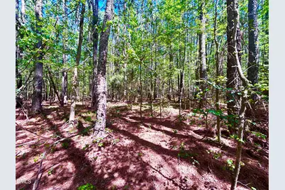 0 Pool Rock Plantation Lane, Henderson, NC 27537 - Photo 2
