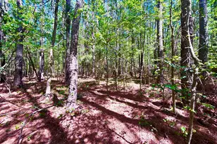 0 Pool Rock Plantation Ln, Henderson, NC 27537 - Photo 1