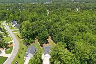 103 Blue Finch Ct, Youngsville, NC 27596 - Photo 20