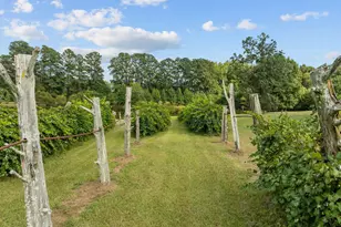 504 Parks Village, Zebulon, NC 27597 - Photo 66