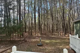 7029 Eastridge Dr, Apex, NC 27539 - Photo 26
