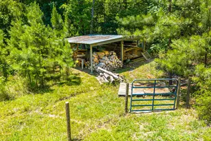 4407 Baer Hill Rd, Efland, NC 27243 - Photo 48
