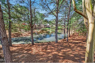 2004 Clyde Bank Court, Cary, NC 27511 - Photo 44