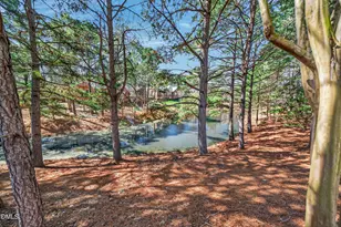 2004 Clyde Bank Ct, Cary, NC 27511 - Photo 44