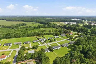 119 Clearwater Dr, Smithfield, NC 27577 - Photo 32