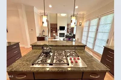 208 Old Franklin Grove Drive, Chapel Hill, NC 27514 - Photo 12