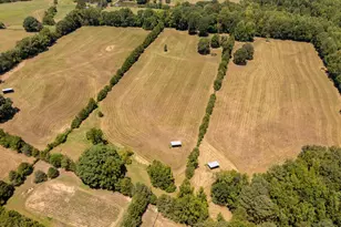 146 Hoke Brooks Rd, Siler City, NC 27344 - Photo 64