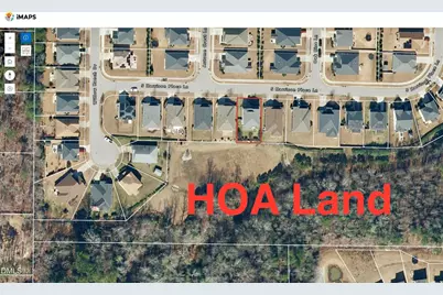 209 S Harrison Place Lane, Fuquay-Varina, NC 27526 - Photo 4