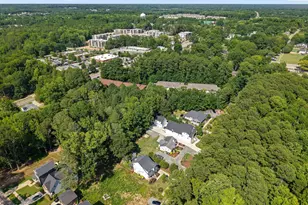 336 W Earp St, Holly Springs, NC 27540 - Photo 44
