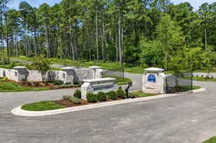 8909 Morning Song Ct, New Hill, NC 27562 - Photo 40