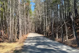 10057 Secluded Gdn Dr, Apex, NC 27523 - Photo 26