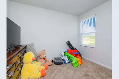 102 Coleshill Road, Angier, NC 27501 - Photo 20