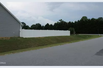 20 E Sand Luggs Court, Angier, NC 27501 - Photo 4