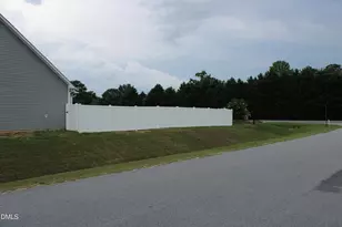 20 E Sand Luggs Ct, Angier, NC 27501 - Photo 4