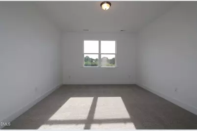 406 Thomas Store Drive, Broadway, NC 27505 - Photo 16
