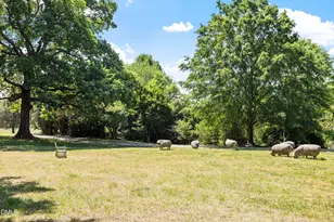4233 Henderson Pl, Pittsboro, NC 27312 - Photo 50