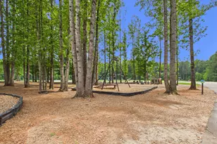 3005 Egert Dr, Haw River, NC 27258 - Photo 38