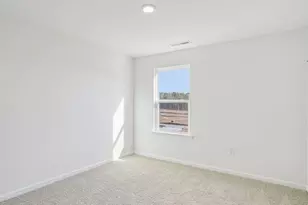 194 Saddle Mare St, Clayton, NC 27520 - Photo 24
