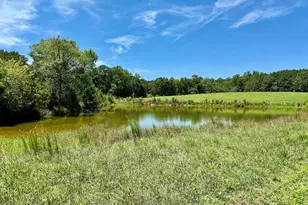 8341 Riley Hill Rd, Zebulon, NC 27597 - Photo 34