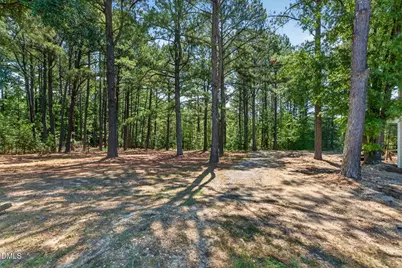 3100 Pleasant Plains Road, Apex, NC 27502 - Photo 66
