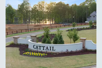 758 Mollie Meadow Drive, Zebulon, NC 27597 - Photo 16