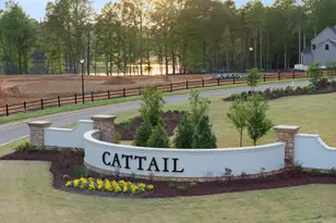758 Mollie Mdw Dr, Zebulon, NC 27597 - Photo 16