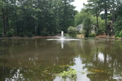 119 Taylors Pond Drive, Cary, NC 27513 - Photo 16