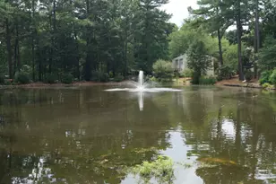 119 Taylors Pond Dr, Cary, NC 27513 - Photo 16