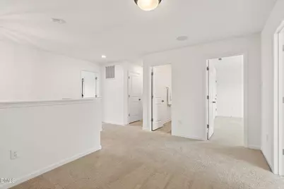 14 Horseshoe Place, Angier, NC 27501 - Photo 14