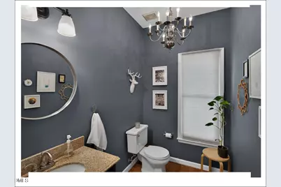 107 Alba Lane, Durham, NC 27707 - Photo 30