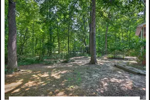 107 Alba Ln, Durham, NC 27707 - Photo 48