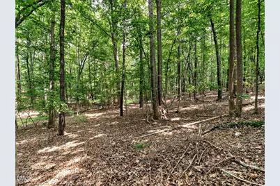 1514 Anterra Drive, Wake Forest, NC 27587 - Photo 30