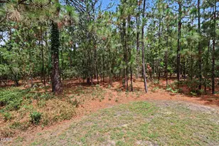 108 Pinnacle Ct, Seven Lakes, NC 27376 - Photo 30