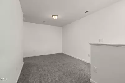 905 Holly Bluff Lane, Durham, NC 27713 - Photo 30