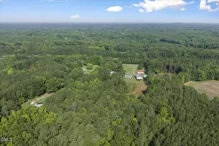 3518 E Thollie Green Rd, Stem, NC 27581 - Photo 38