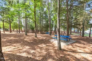205 Hickory Glen Ln, Holly Springs, NC 27540 - Photo 46