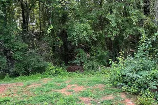 321 Woodson Dr, Clayton, NC 27527 - Photo 24