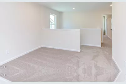 54 Baird Cove Lane, Angier, NC 27501 - Photo 16