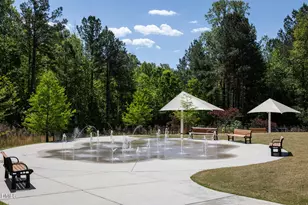 165 Symmetry Loop, Youngsville, NC 27596 - Photo 6